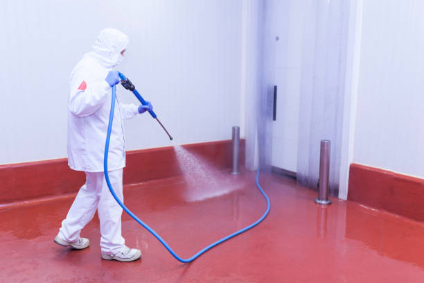 Best Pre-Holiday Cleaning  in Ivyland, PA