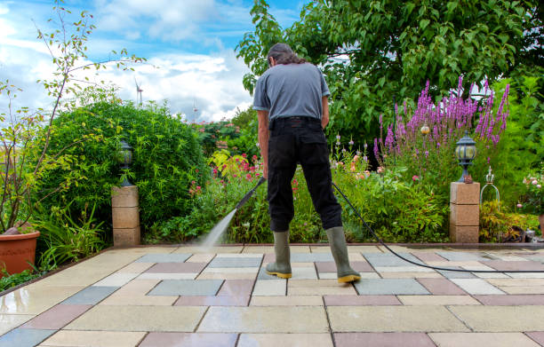 Animal Enclosure Cleaning in Ivyland, PA